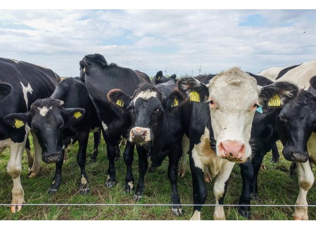 The level of a powerful greenhouse gas is increasing at a rapid pace, surpassing carbon dioxide emissions.