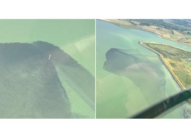 Birds were observed eating sewage entering a river in the UK.