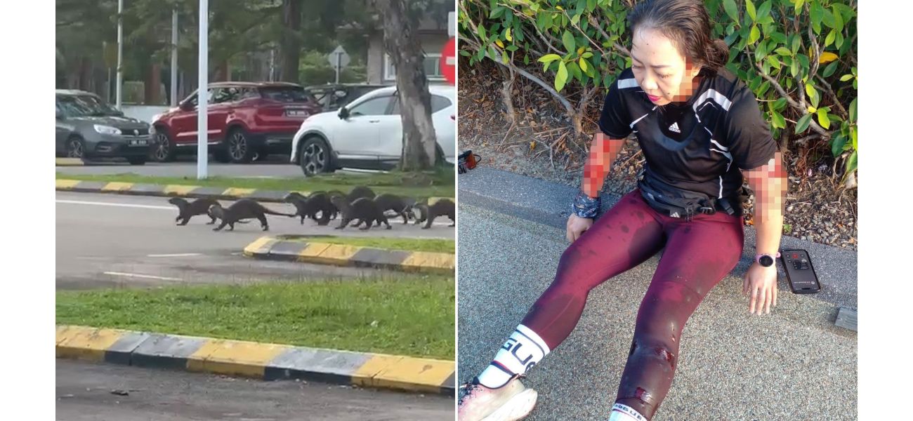 Otters launch brutal attack on woman in park after stalking her.