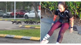 Otters launch brutal attack on woman in park after stalking her.