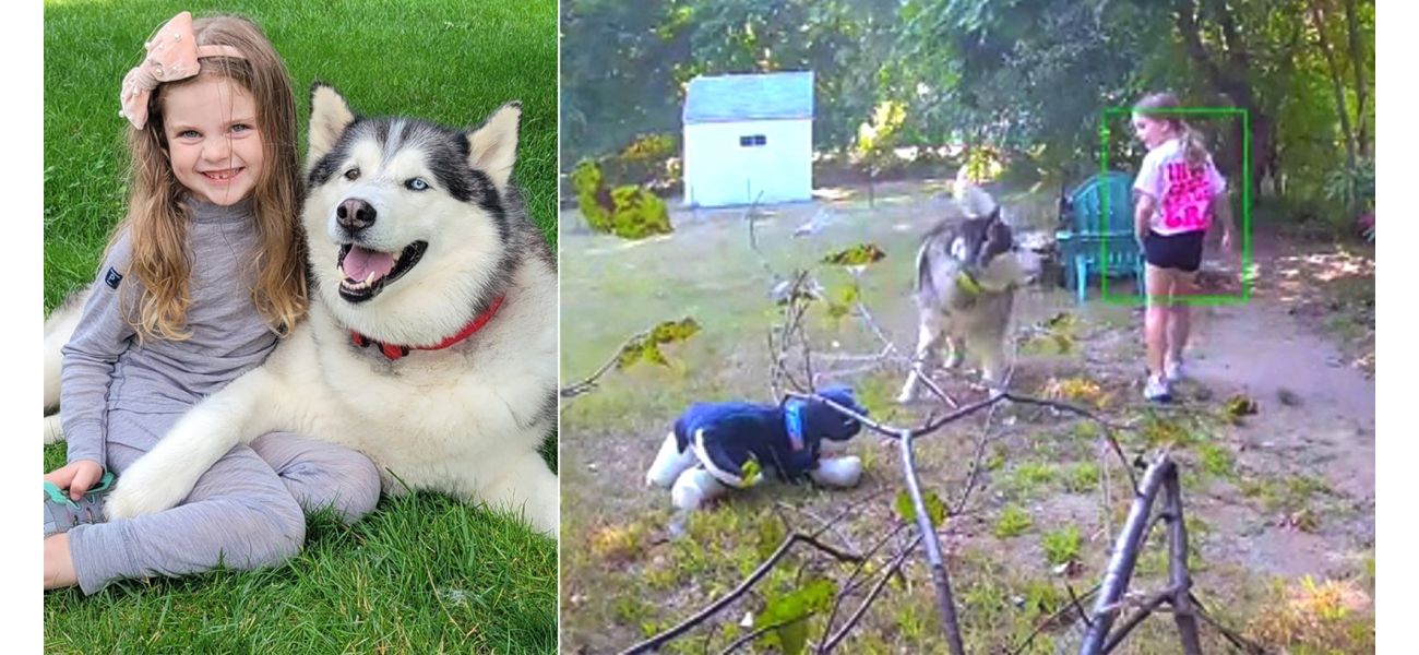 Girl steals neighbor's dog and replaces it with a stuffed animal, causing a funny situation.