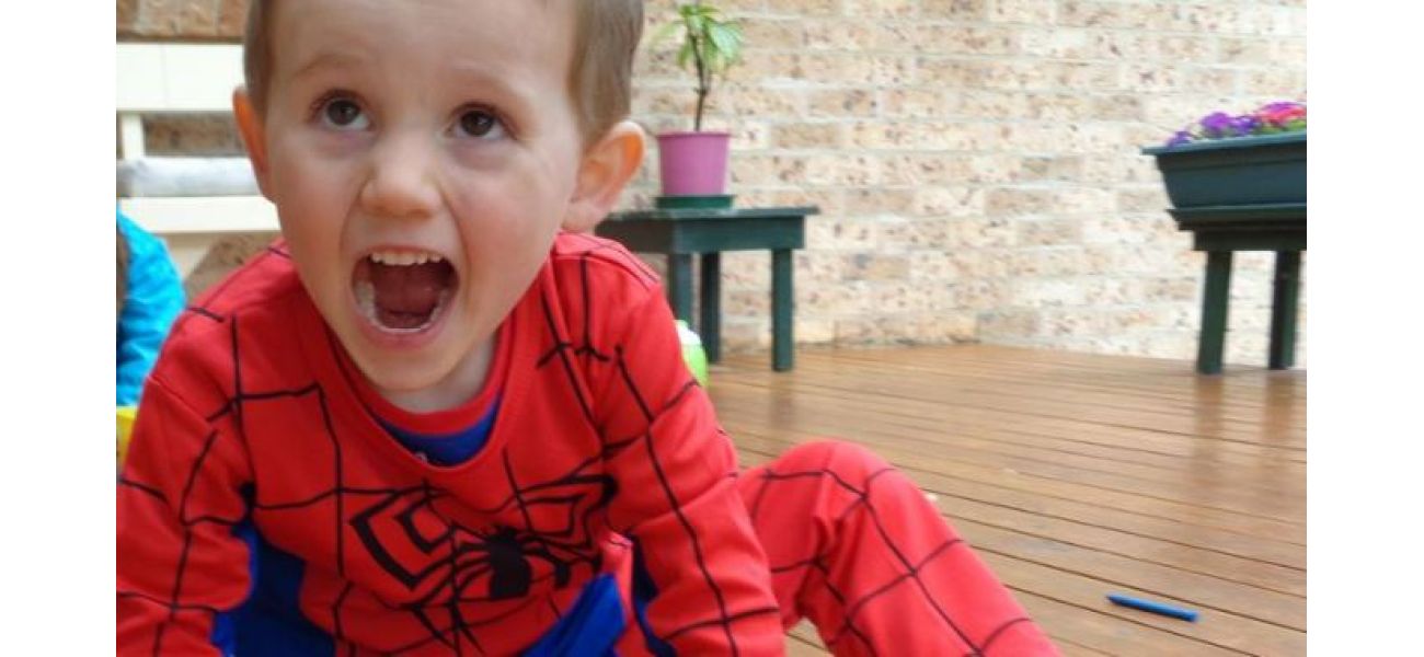 Request to commemorate 10 years since William Tyrrell went missing.