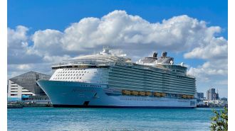 A 12-year-old boy died after falling from a balcony on a cruise ship.