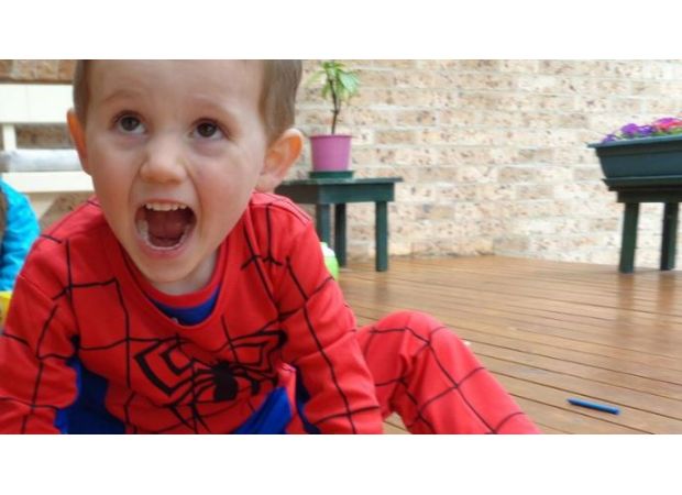 Request to commemorate 10 years since William Tyrrell went missing.