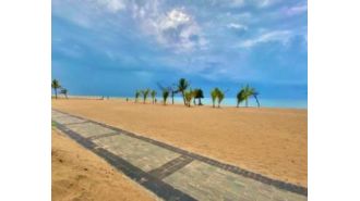 Discover the best beaches in Odisha with our top 10 list for a perfect coastal vacation.