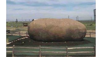 Sleep in a giant potato for £145 - potato enthusiasts rejoice!