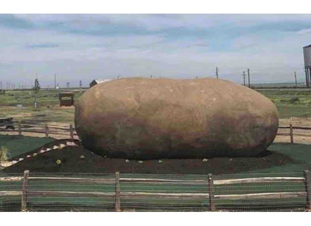 Sleep in a giant potato for £145 - potato enthusiasts rejoice!
