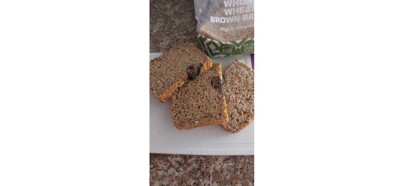 Woman shocked after eating bread to find out it had a rat in it, causing her trauma.