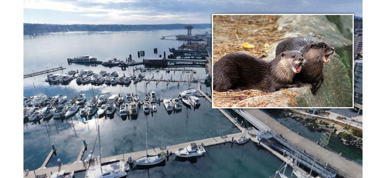An otter pulled a kid into the water while they were out for a walk with their mom.