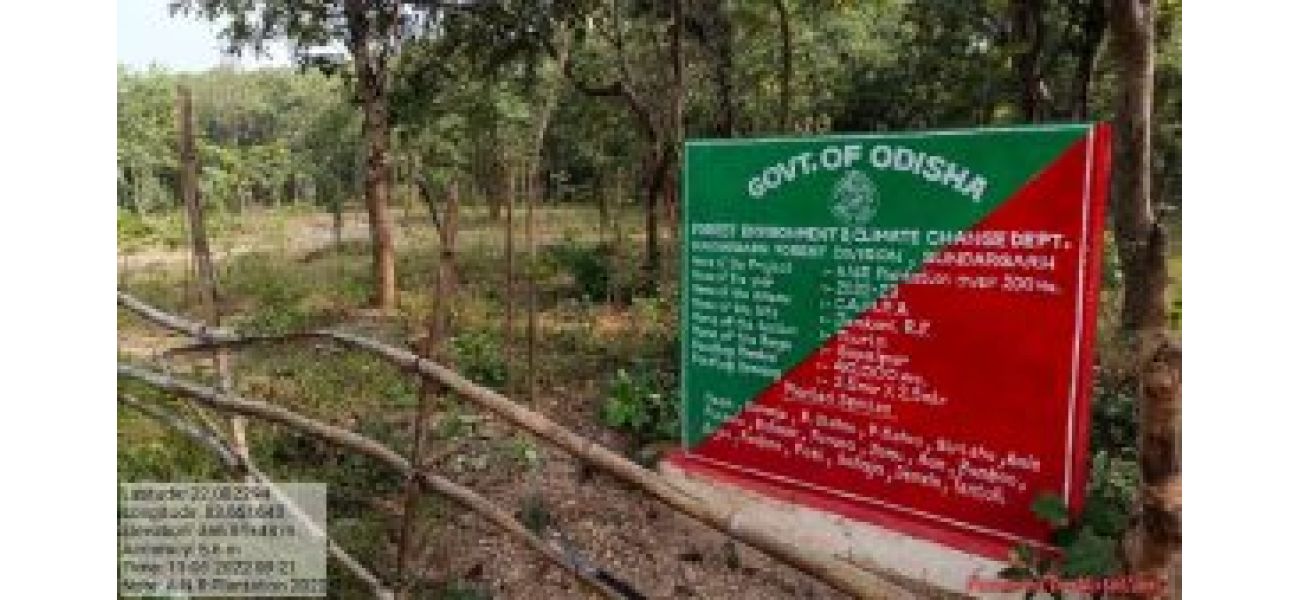 CAG reports that despite CAMPA funds being used, wildfires have increased by 208%.