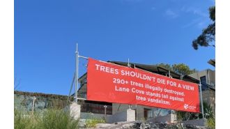 City officials put up a banner to hide the view after many trees were damaged.
