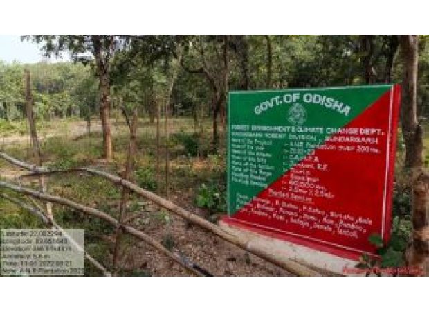 CAG reports that despite CAMPA funds being used, wildfires have increased by 208%.