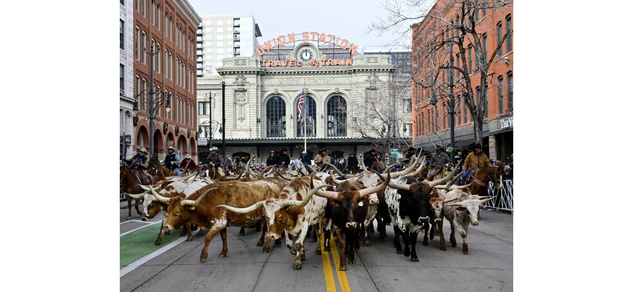 Denver's economy and cow town identity would suffer from a fur ban, according to this opinion.