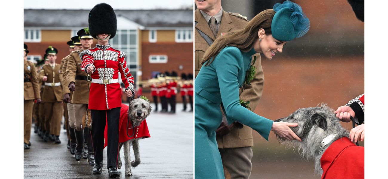 Army soldier fired for using cocaine after leading army's famous wolfhound, Seamus.
