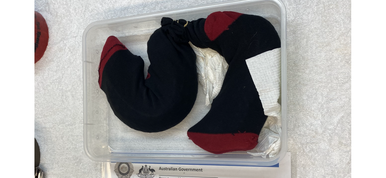 Socks with valuable hidden creatures worth $25k.