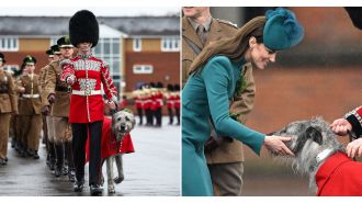 Army soldier fired for using cocaine after leading army's famous wolfhound, Seamus.