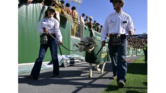 Keeler suggests that CSU Rams should take note of CU Buffs' failures in the Pac-12 despite having a similar name, as they belong to different groups.