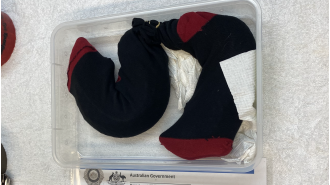 Socks with valuable hidden creatures worth $25k.
