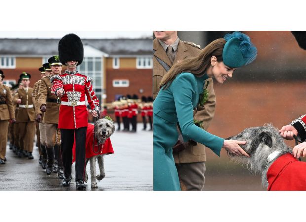 Army soldier fired for using cocaine after leading army's famous wolfhound, Seamus.