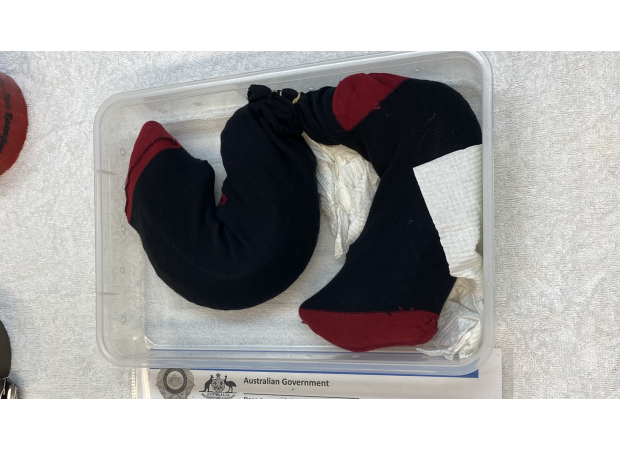 Socks with valuable hidden creatures worth $25k.