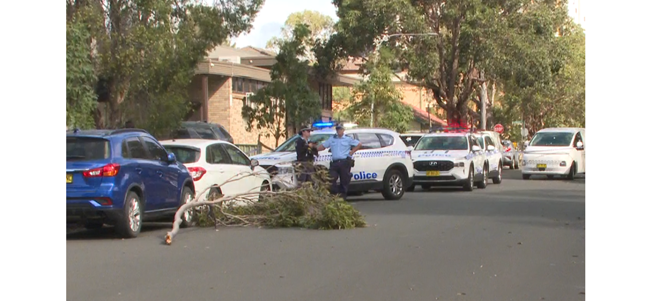 A woman has died in Sydney's south-west after being struck by a falling tree branch.