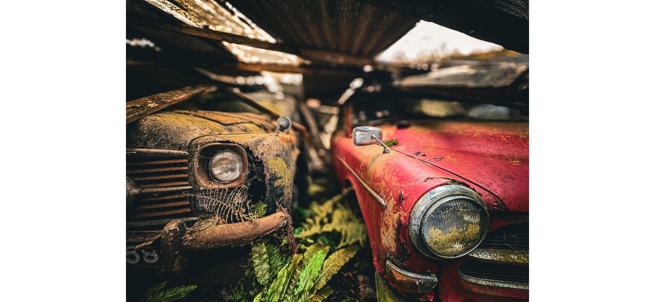 A woman stumbles upon a vintage car graveyard in a mysterious forest.