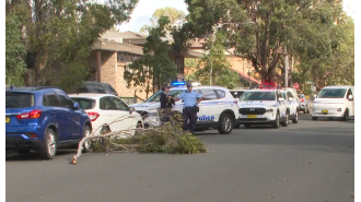 A woman has died in Sydney's south-west after being struck by a falling tree branch.