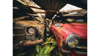 A woman stumbles upon a vintage car graveyard in a mysterious forest.