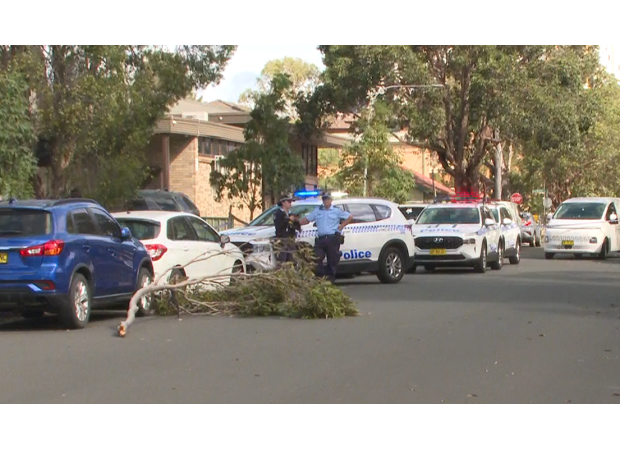 A woman has died in Sydney's south-west after being struck by a falling tree branch.
