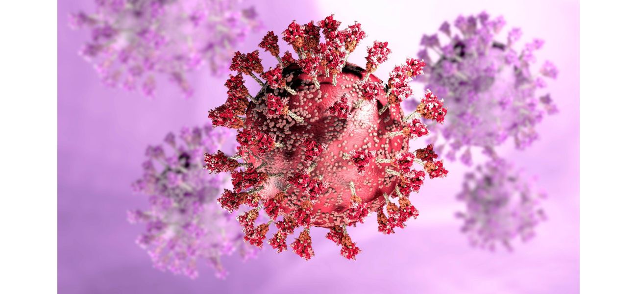 What are the signs of the new, highly transmissible Covid XEC strain?