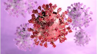 What are the signs of the new, highly transmissible Covid XEC strain?