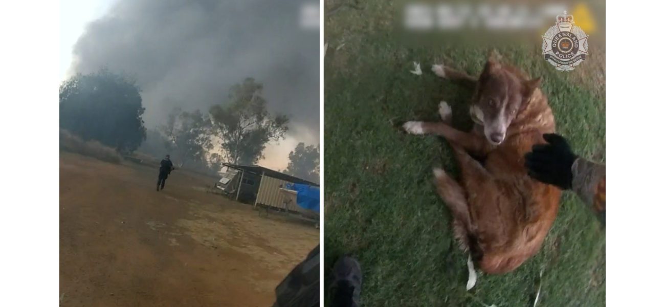 Police officers rescue dogs from large fire at Mount Isa factory.