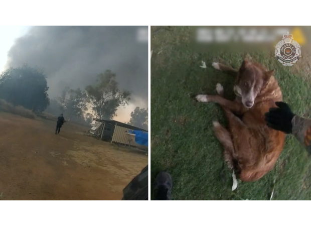 Police officers rescue dogs from large fire at Mount Isa factory.