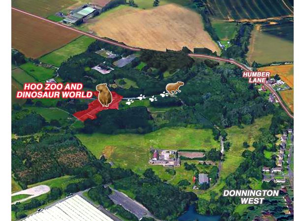 A capybara named Cinnamon escaped from a Telford zoo and is currently missing.