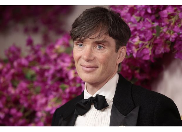 Fans want Cillian Murphy to star in a Harry Potter remake as a popular character.