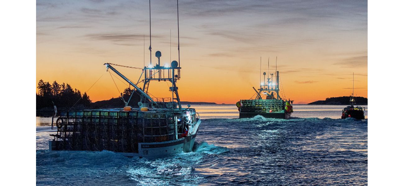 Australia's lobster industry is unable to access the lucrative Chinese market, worth $550 million, due to ongoing trade tensions between the two countries.