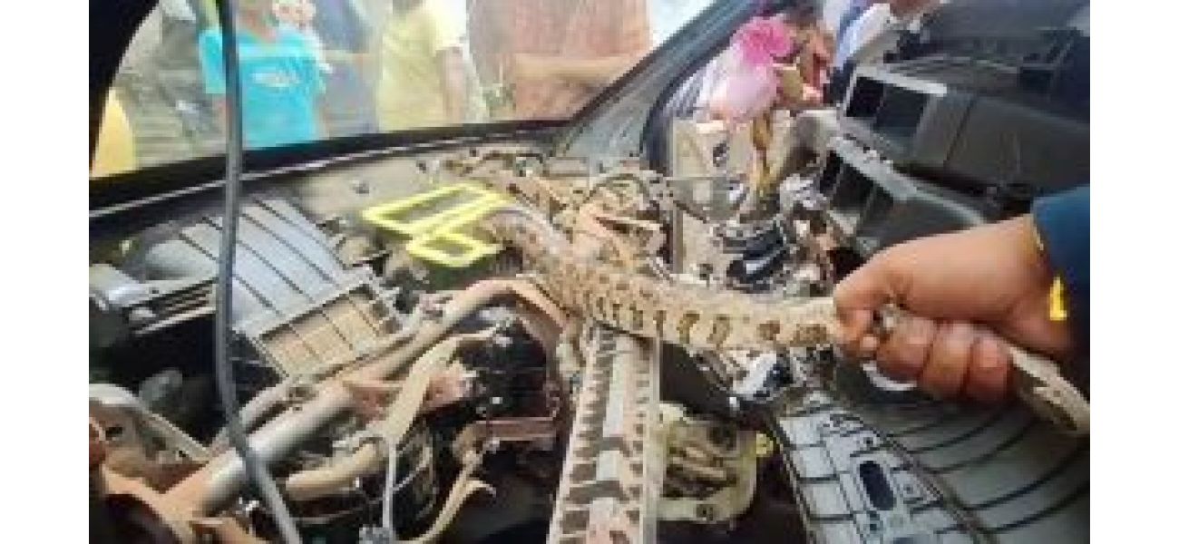 Python discovered in vehicle and saved.