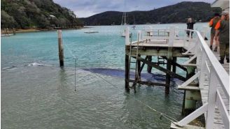 Rescuers in New Zealand remove a wharf to free a stranded pygmy blue whale.