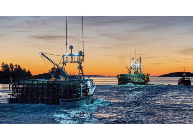 Australia's lobster industry is unable to access the lucrative Chinese market, worth $550 million, due to ongoing trade tensions between the two countries.