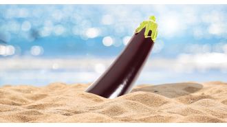 Hiding the penis is a topic that is rarely discussed.