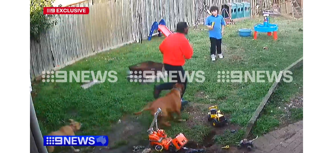 A dog stopped a man believed to have been running away from a stabbing at a train station in Melbourne's west.