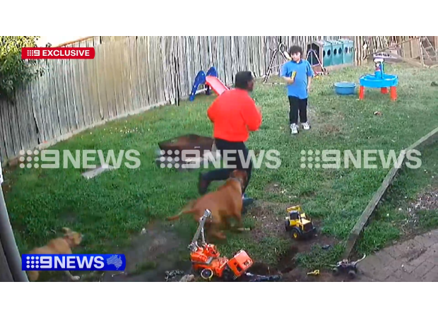 A dog stopped a man believed to have been running away from a stabbing at a train station in Melbourne's west.