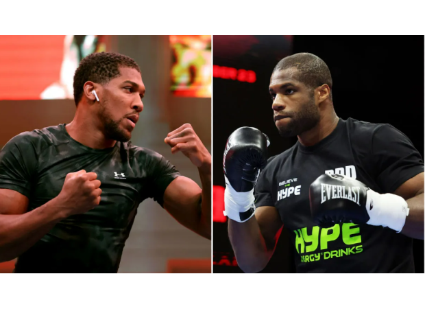 The sparring session between Anthony Joshua and Daniel Dubois holds no significance.