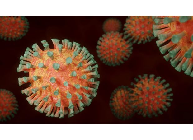 COVID-19's potential animal origin identified.