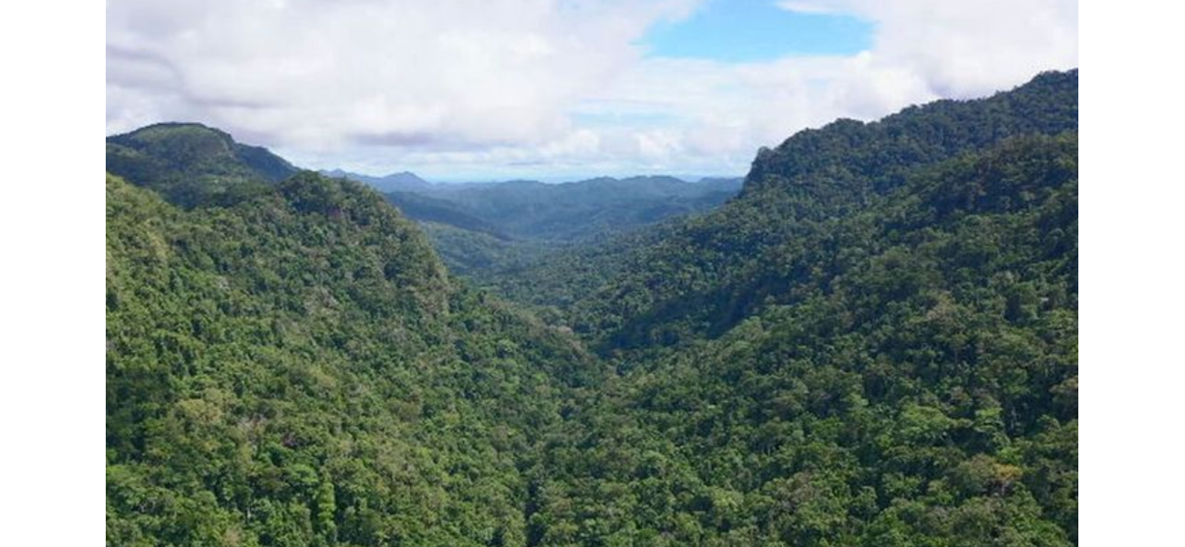 Australian tourists are unable to continue the Kokoda Track walk due to issues with Papua New Guinea.