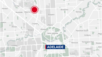 A person in Adelaide required surgery after attacking a driver through their car window.