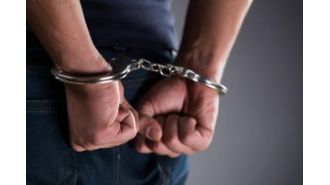 Five people who work in the forest have been taken into custody.
