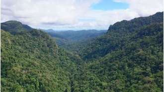Australian tourists are unable to continue the Kokoda Track walk due to issues with Papua New Guinea.