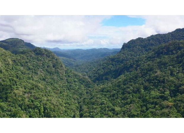 Australian tourists are unable to continue the Kokoda Track walk due to issues with Papua New Guinea.