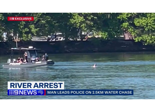 Police chased swimmer for 2.5km.